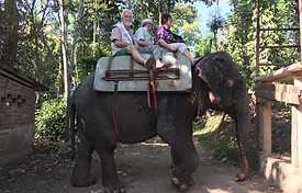 Elephant ride.jpeg