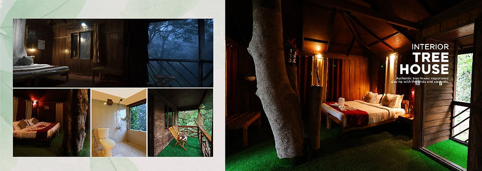Nature Zone Tree House - Forfait lune de miel au Kerala