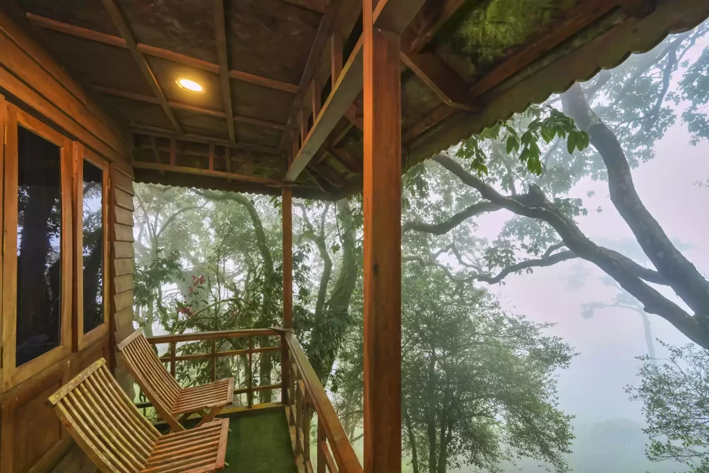 Tree house in Munnar Nature Zone.webp