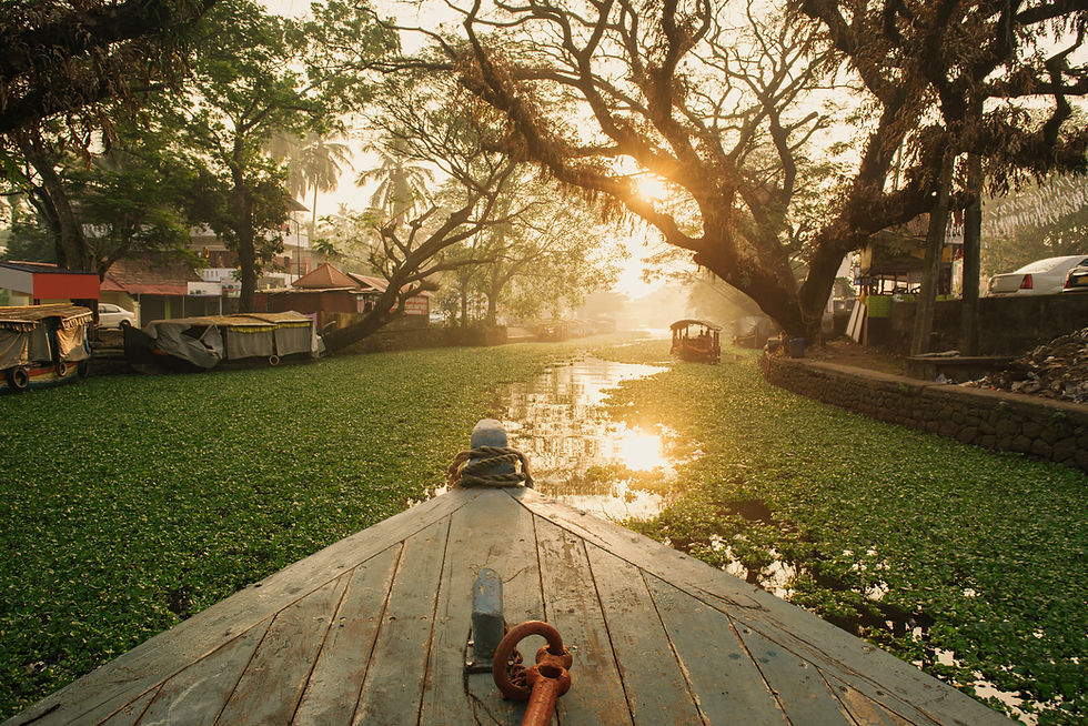 Alleppey backwater canals and shikara boats