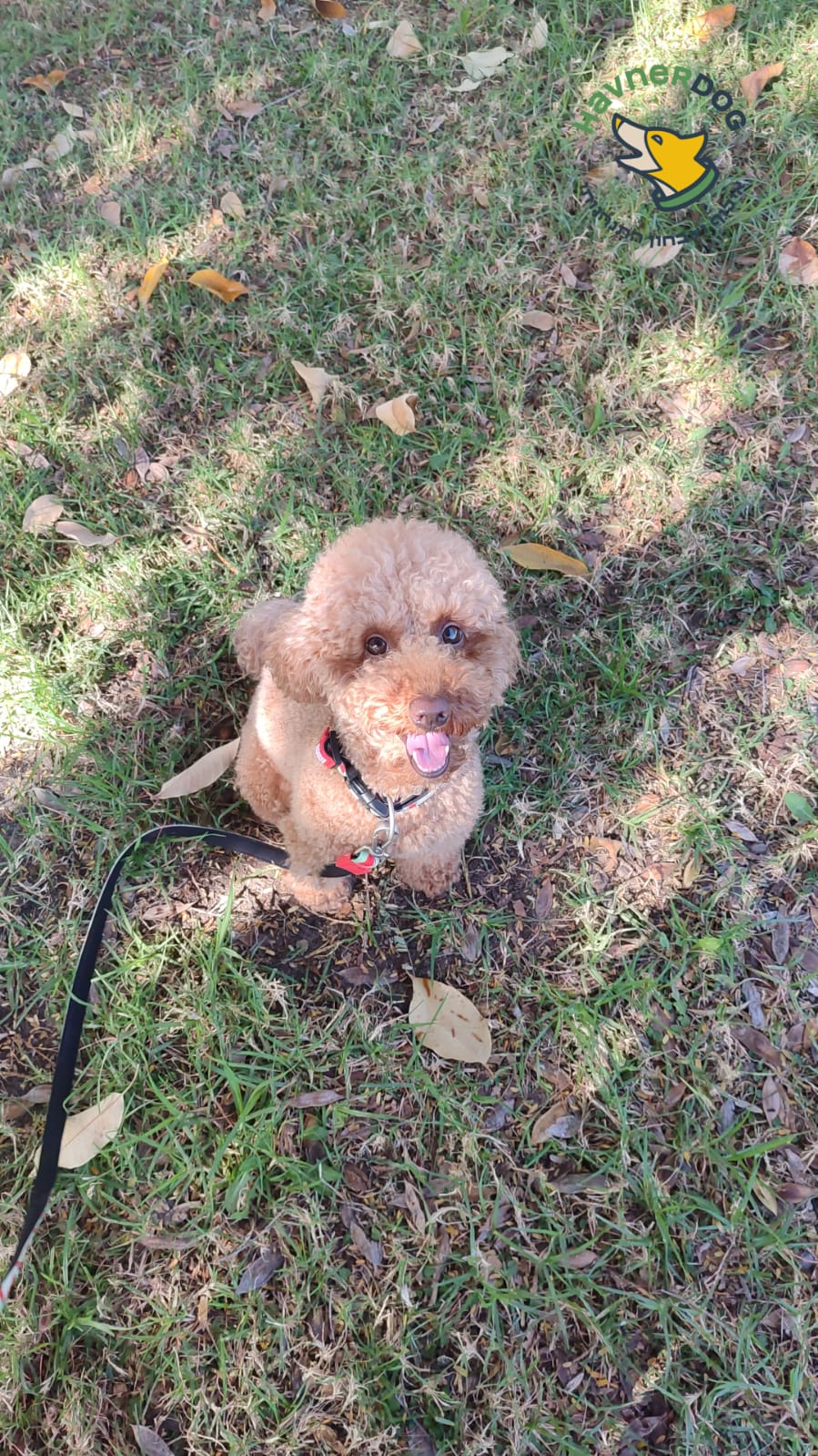 WhatsApp Image 2025-12-08 at 18.07.26.jpeg