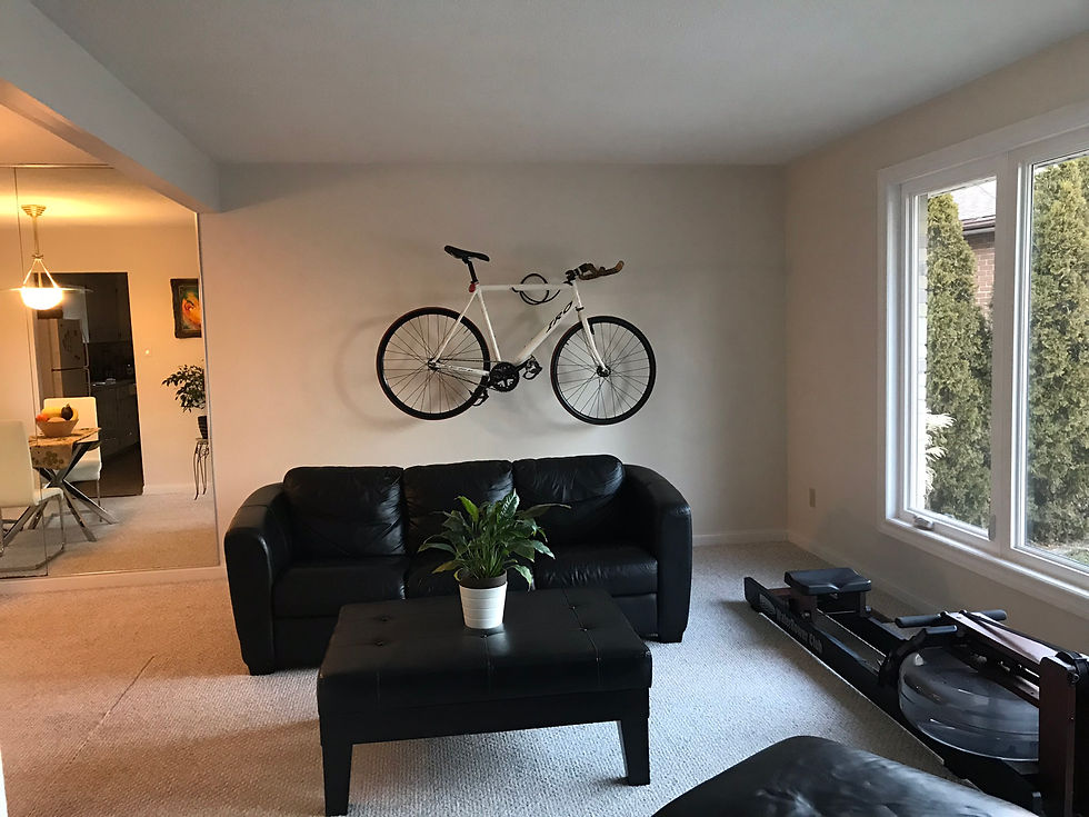 Rack Fiend Bicycle Rack Living Room