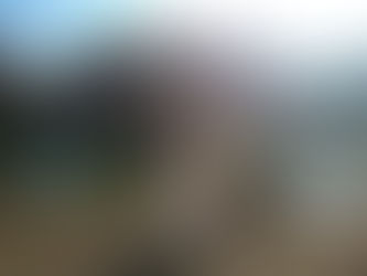 Γερμανία • 13 Φεβρουαρίου 2015