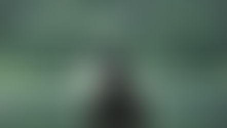 Δίνω σημασία | Τετάρτη 13/01