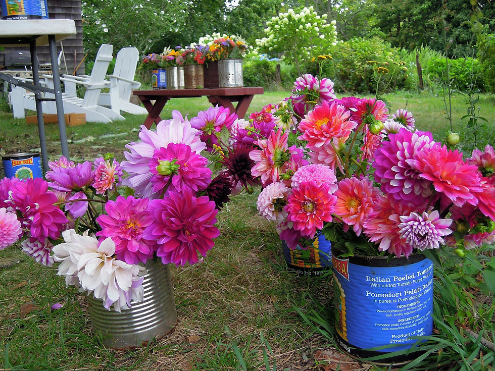 DSCN2248.JPG