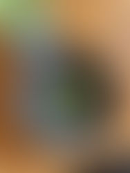 6月のSweets day限定メニュー