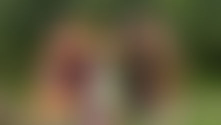 Summer Solstice Celebration