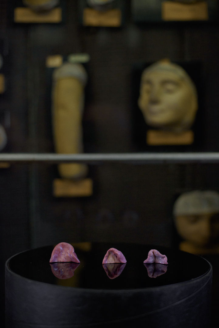 Kornel Kotecki - zestaw pięciu wierszy