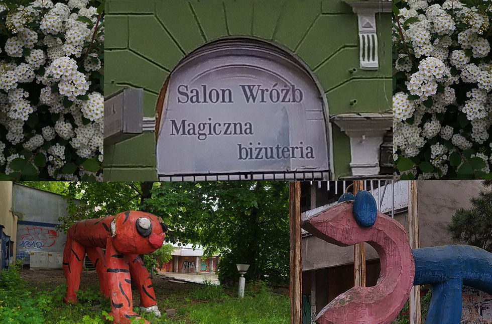 Nina Sikorska - Chwasty w pełnym rozkwicie (Poznań)