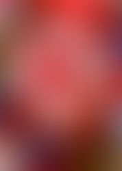 Zu Witkowska - zestaw trzech wierszy