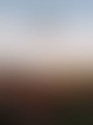 Zheng Xiaoqiong 郑小琼 - zestaw czterech wierszy, tł. Zhang Letian  张乐天 