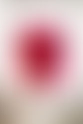 Małgorzata Kolankowska - Wenezuela 