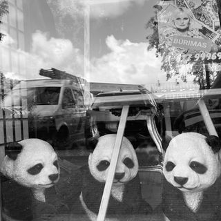 Julek Rosiński - zestaw czterech wierszy 