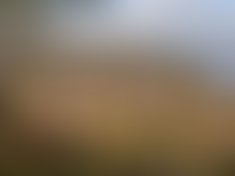 William Strachey and the Kecoughtan: A Window Into Indigenous Virginia
