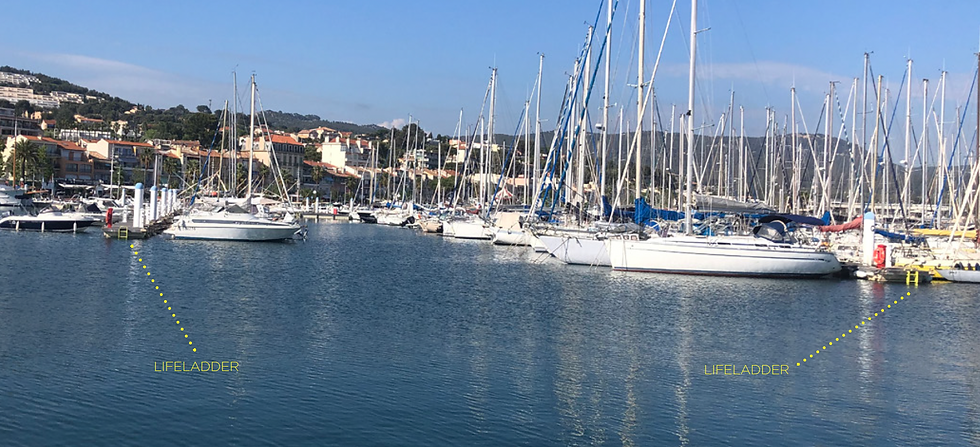 LifeLadder au Port de Calvi