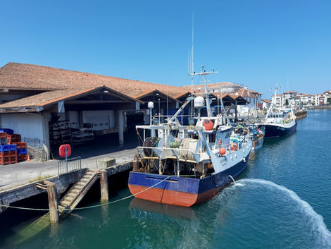 Port de Pêche, Saint-Jean-de-Luz/Ciboure
