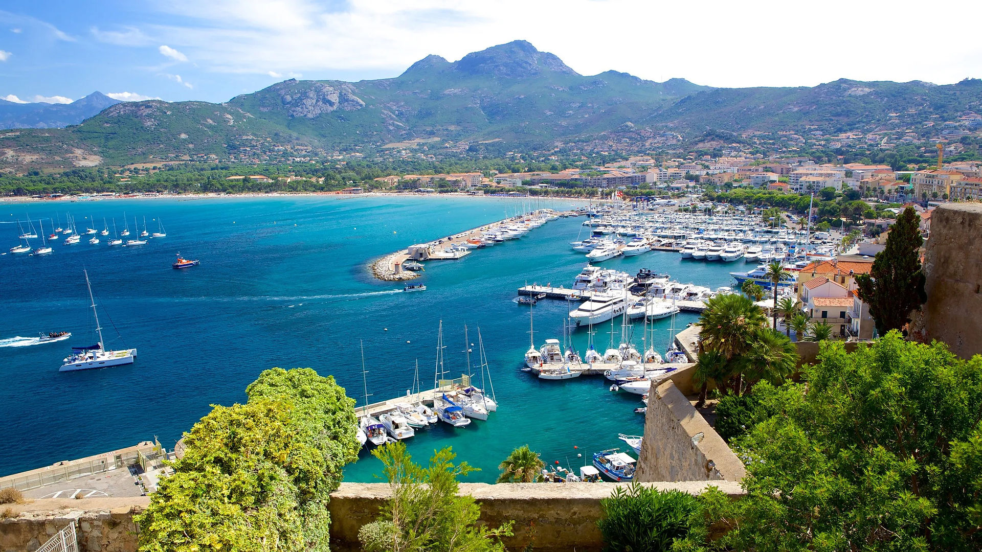 Port de Calvi