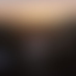 Breathing in the Serenity: My Editorial Journey of Capturing Crimson Horizons at Sunrise