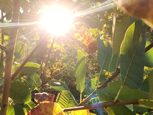 SUNRISE SEPTEMBER REMEMBER