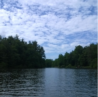 Sights from my canoe