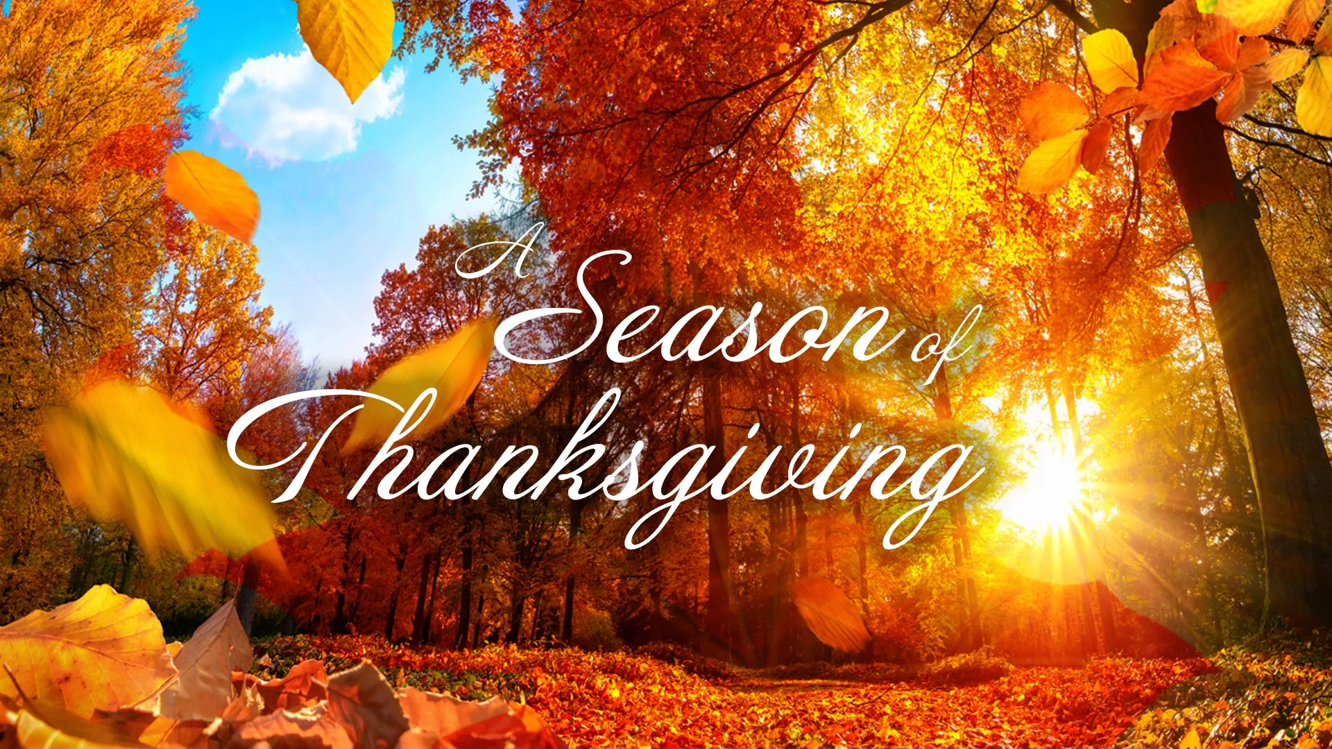 aseasonofthanksgiving.webp