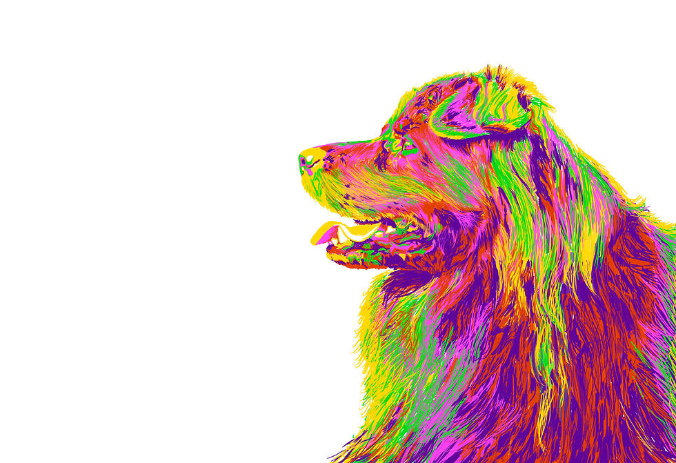 Mikko Illustration 3