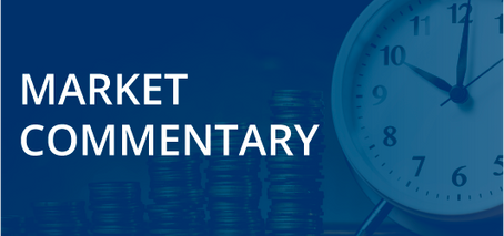 Naisbitt King Monthly Bond Commentary January 2024