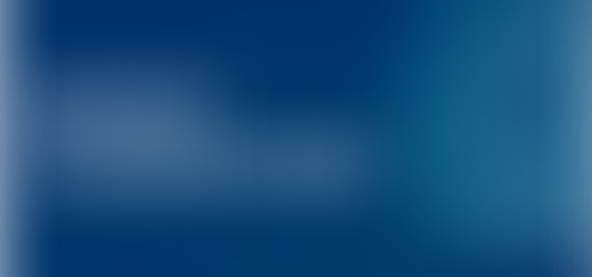 Naisbitt King Monthly Bond Commentary January 2024