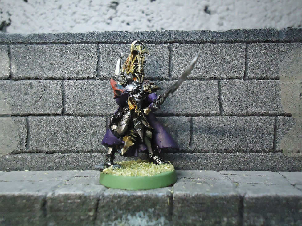 archon dark eldar druchari warhammer 40K metal model painted citadel
