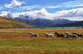 Torres del Paine