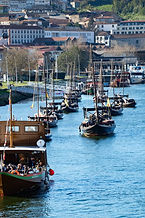 Tour Exclusivo pelo Vale do Douro