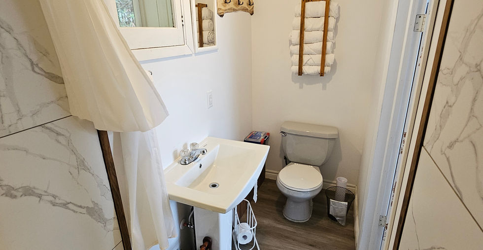 Mazinaw Lakeview Cottage #2 Bathroom with Shower.