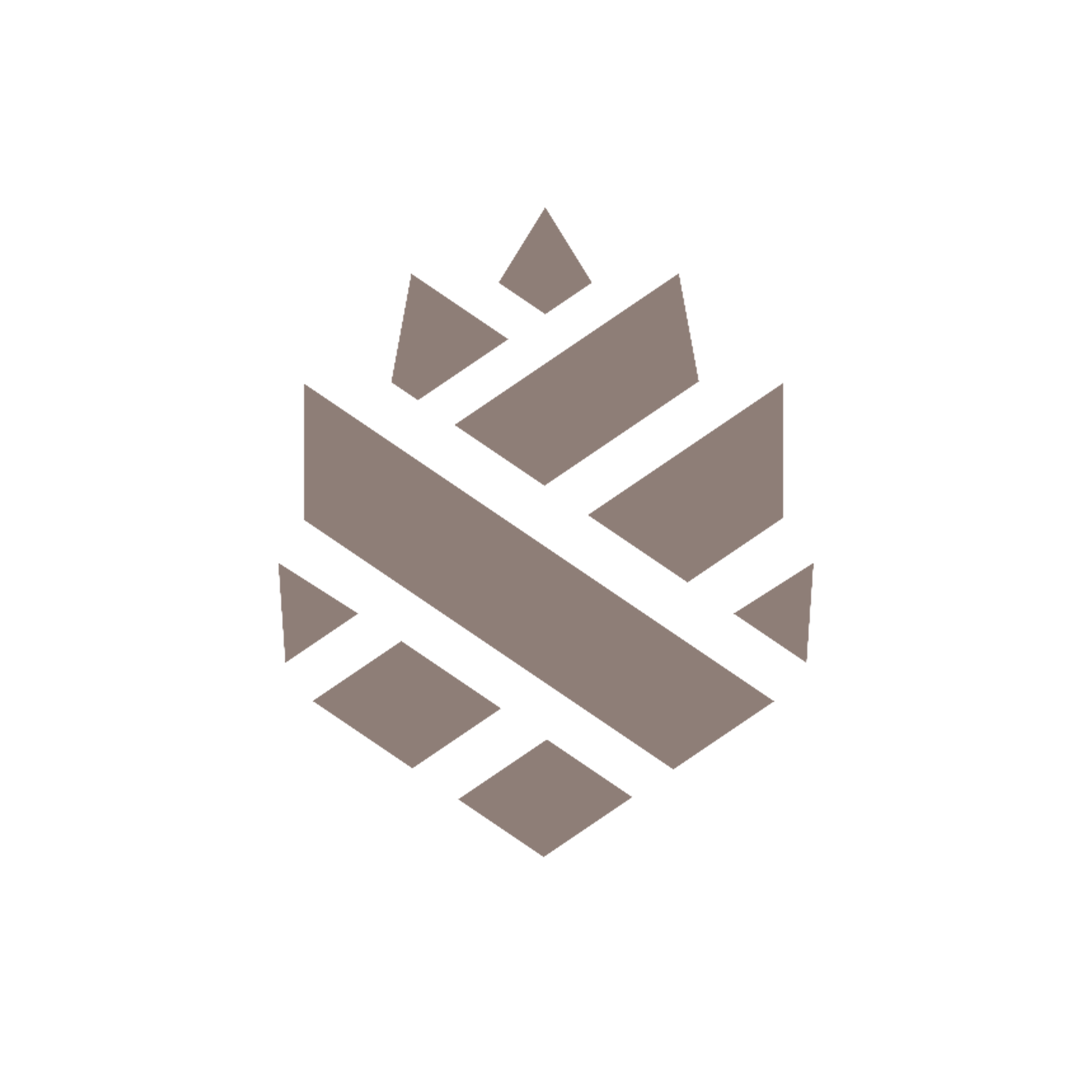 Little Pine Logo