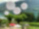 image00020.jpeg