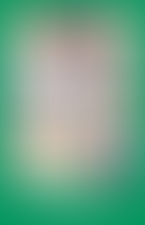 The Fryeburg (Maine) Fair