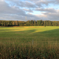 IMG_8876.jpeg