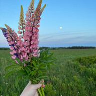 IMG_7478.jpeg