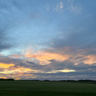 IMG_6836.jpeg