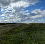 IMG_6992.jpeg