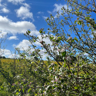 IMG_6773.jpeg