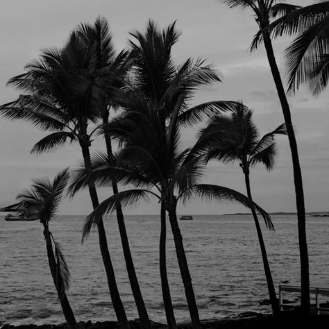 Kona 2025 - Racing Limits of the Human Body