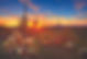 desert sunset_cmyk.jpg