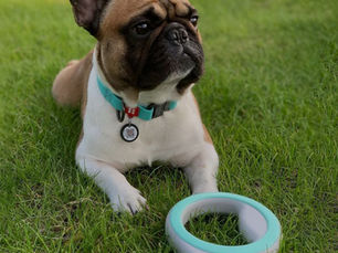 Without a Woman: Mary Delaney