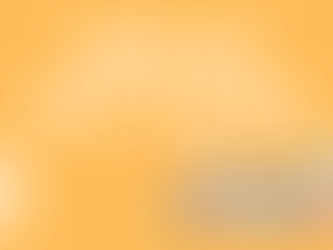 ウェディングペットシッター