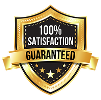 100_SAT_GOLD.png