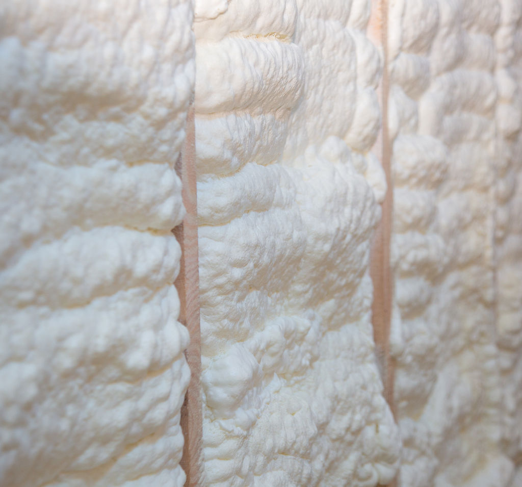 Image Foam Adobe.jpeg