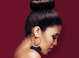 Elegant Hairstyle