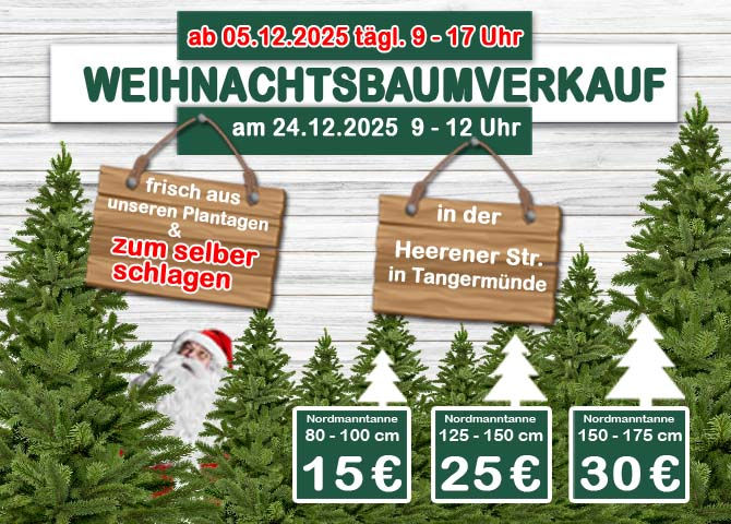 Weihnachtsbaumverkauf Heerener Straße