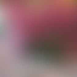 Fiore di Bach: Heather