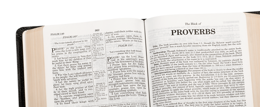 IPOC website header (5).png